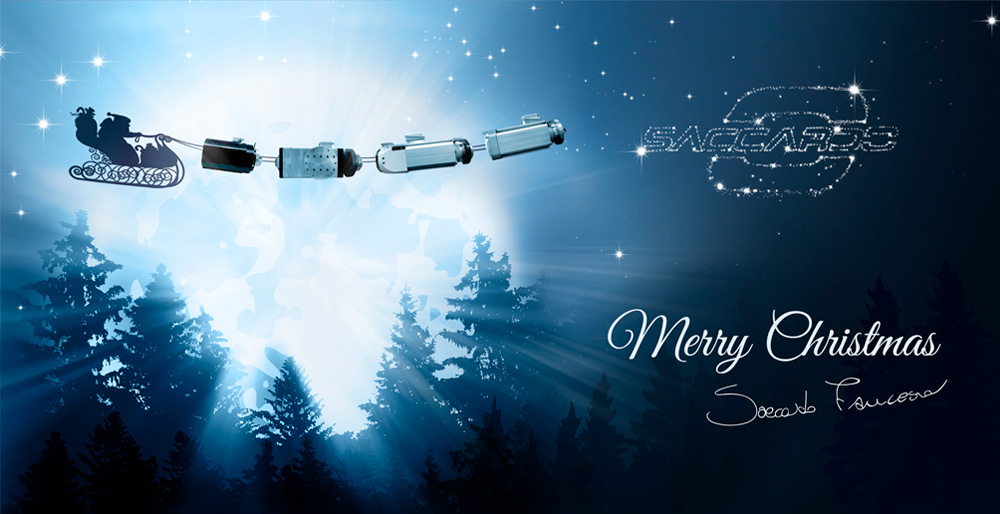 Saccardo - post Natale - Agenzia di pubblicità e marketing a Vicenza - Infodati ADV