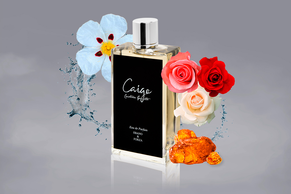 Realizzazione sito web Caigo Parfum - Agenzia di marketing e comunicazione a Vicenza - Infodati ADV