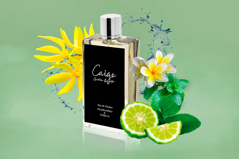 Realizzazione sito web Caigo Parfum - Agenzia di marketing e comunicazione a Vicenza - Infodati ADV