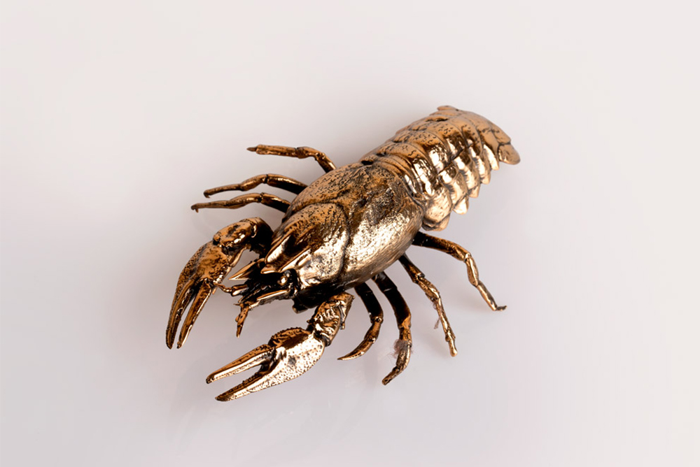 Realizzazione servizio fotografico Ciak - Agenzia di marketing e comunicazione a Vicenza - Infodati ADV